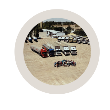 elementos 2026-12 elementos 2026-12